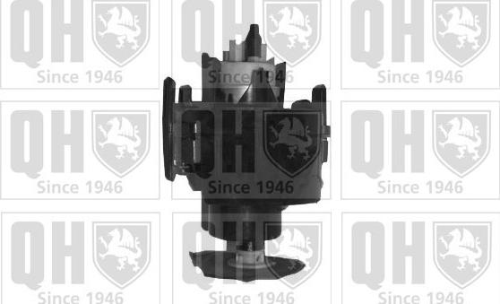 Quinton Hazell QFP619 - Degvielas sūknis www.autospares.lv