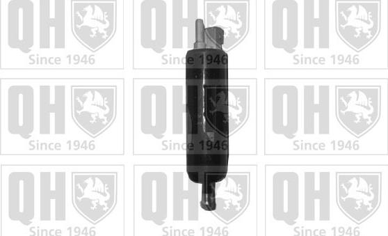 Quinton Hazell QFP616 - Degvielas sūknis www.autospares.lv