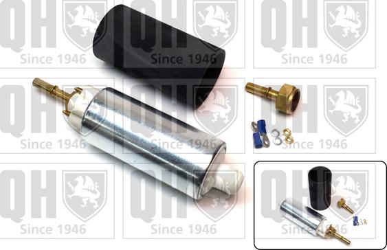 Quinton Hazell QFP1013 - Degvielas sūknis www.autospares.lv