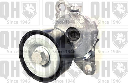 Quinton Hazell QTA1602 - Parazīt / Vadrullītis, Ķīļrievu siksna www.autospares.lv