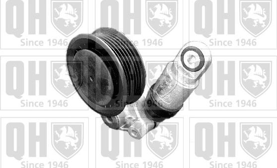 Quinton Hazell QTA1091 - Siksnas spriegotājs, Ķīļsiksna www.autospares.lv