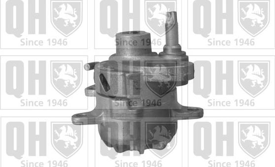 Quinton Hazell QTA1063 - Siksnas spriegotājs, Ķīļsiksna www.autospares.lv