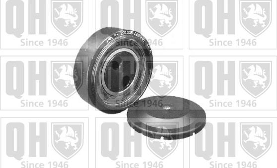 Quinton Hazell QTA1073 - Parazīt / Vadrullītis, Ķīļrievu siksna www.autospares.lv