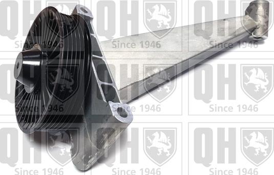 Quinton Hazell QTA1183 - Натяжитель, поликлиновый ремень www.autospares.lv