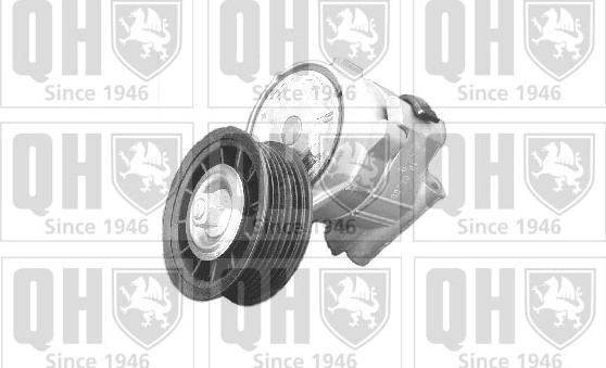 Quinton Hazell QTA1130 - Натяжитель, поликлиновый ремень www.autospares.lv