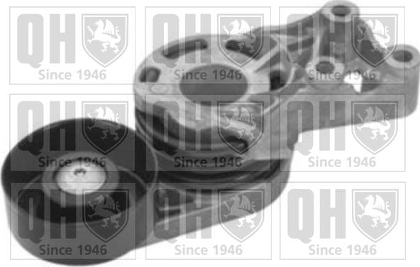 Quinton Hazell QTA1348 - Ролик, поликлиновый ремень www.autospares.lv