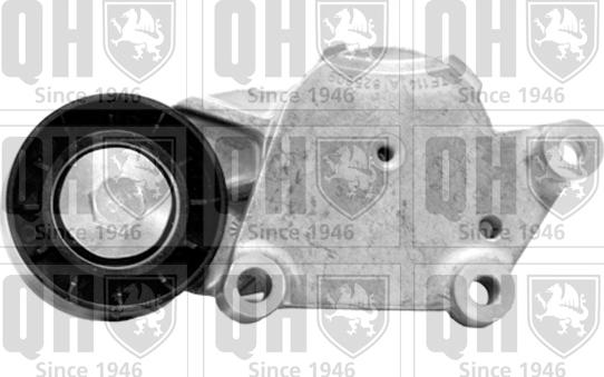 Quinton Hazell QTA1380 - Ролик, поликлиновый ремень www.autospares.lv