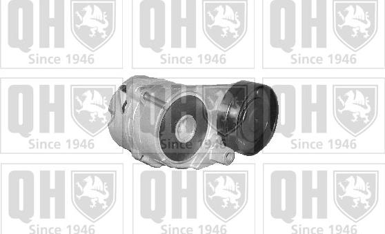 Quinton Hazell QTA1206 - Натяжитель, поликлиновый ремень www.autospares.lv