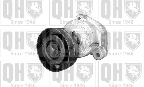 Quinton Hazell QTA898 - Siksnas spriegotājs, Ķīļsiksna www.autospares.lv