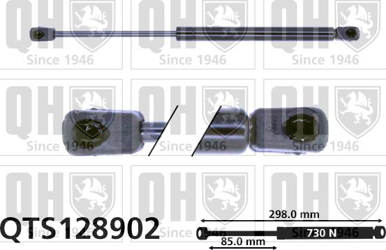 Quinton Hazell QTS128902 - Gāzes atspere, Bagāžas / Kravas nodalījuma vāks www.autospares.lv