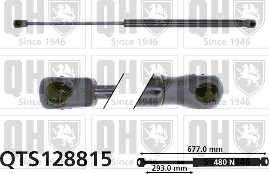 Quinton Hazell QTS128815 - Gāzes atspere, Bagāžas / Kravas nodalījuma vāks www.autospares.lv