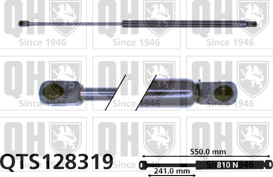 Quinton Hazell QTS128319 - Gāzes atspere, Bagāžas / Kravas nodalījuma vāks www.autospares.lv