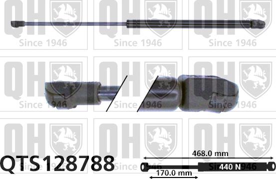 Quinton Hazell QTS128788 - Gāzes atspere, Bagāžas / Kravas nodalījuma vāks www.autospares.lv