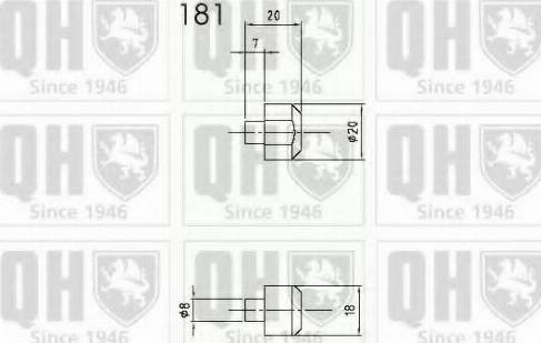 Quinton Hazell QTS840296 - Gāzes atspere, Motora pārsegs www.autospares.lv