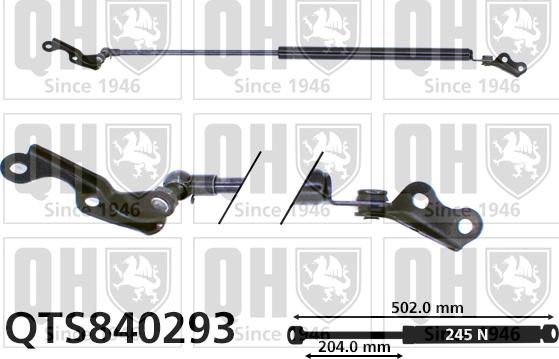 Quinton Hazell QTS840293 - Gāzes atspere, Bagāžas / Kravas nodalījuma vāks www.autospares.lv