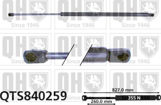 Quinton Hazell QTS840259 - Gāzes atspere, Bagāžas / Kravas nodalījuma vāks www.autospares.lv