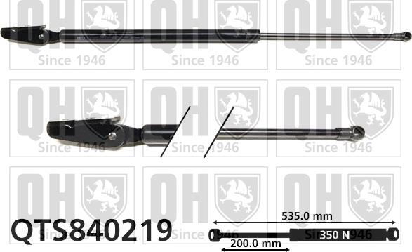 Quinton Hazell QTS840219 - Gāzes atspere, Bagāžas / Kravas nodalījuma vāks www.autospares.lv