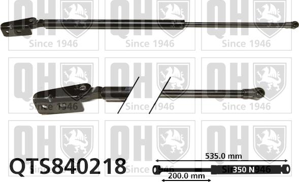 Quinton Hazell QTS840218 - Gāzes atspere, Bagāžas / Kravas nodalījuma vāks www.autospares.lv