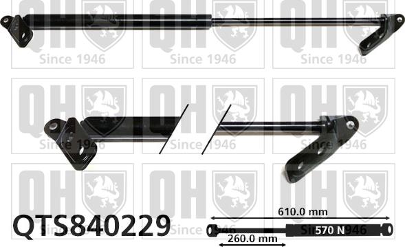 Quinton Hazell QTS840229 - Gāzes atspere, Bagāžas / Kravas nodalījuma vāks www.autospares.lv