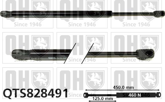 Quinton Hazell QTS828491 - Gāzes atspere, Bagāžas / Kravas nodalījuma vāks www.autospares.lv