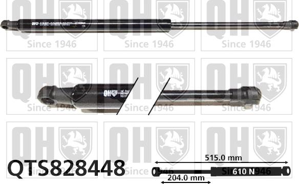 Quinton Hazell QTS828448 - Gāzes atspere, Bagāžas / Kravas nodalījuma vāks www.autospares.lv