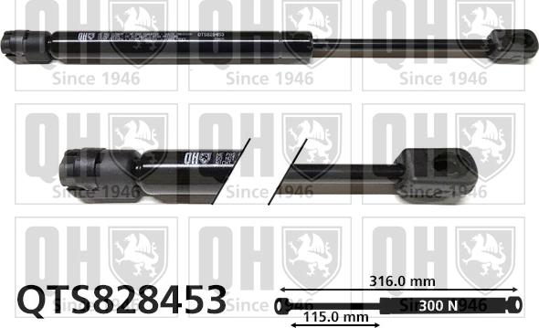 Quinton Hazell QTS828453 - Gāzes atspere, Bagāžas / Kravas nodalījuma vāks www.autospares.lv