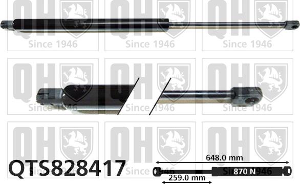 Quinton Hazell QTS828417 - Gāzes atspere, Bagāžas / Kravas nodalījuma vāks www.autospares.lv