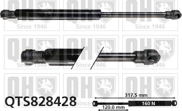 Quinton Hazell QTS828428 - Gāzes atspere, Aizmugurējais stikls www.autospares.lv