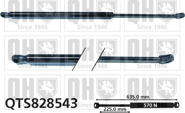 Quinton Hazell QTS828543 - Gāzes atspere, Bagāžas / Kravas nodalījuma vāks www.autospares.lv