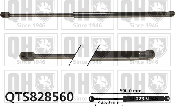 Quinton Hazell QTS828560 - Gāzes atspere, Bagāžas / Kravas nodalījuma vāks www.autospares.lv