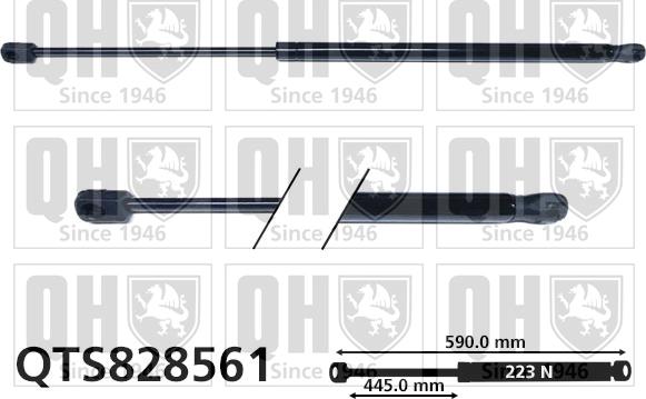 Quinton Hazell QTS828561 - Gāzes atspere, Bagāžas / Kravas nodalījuma vāks www.autospares.lv