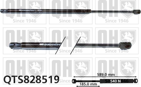 Quinton Hazell QTS828519 - Gāzes atspere, Bagāžas / Kravas nodalījuma vāks www.autospares.lv