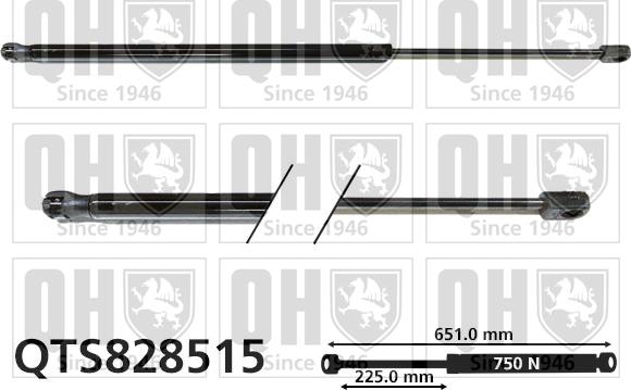 Quinton Hazell QTS828515 - Gāzes atspere, Bagāžas / Kravas nodalījuma vāks www.autospares.lv