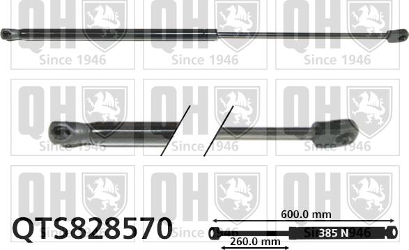 Quinton Hazell QTS828570 - Gāzes atspere, Bagāžas / Kravas nodalījuma vāks www.autospares.lv