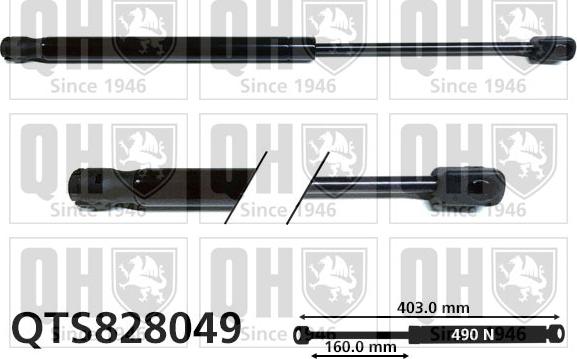 Quinton Hazell QTS828049 - Gāzes atspere, Bagāžas / Kravas nodalījuma vāks www.autospares.lv