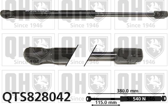 Quinton Hazell QTS828042 - Gāzes atspere, Bagāžas / Kravas nodalījuma vāks www.autospares.lv