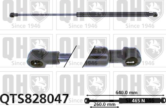 Quinton Hazell QTS828047 - Gāzes atspere, Bagāžas / Kravas nodalījuma vāks www.autospares.lv