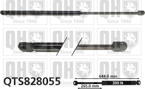 Quinton Hazell QTS828055 - Gāzes atspere, Bagāžas / Kravas nodalījuma vāks www.autospares.lv