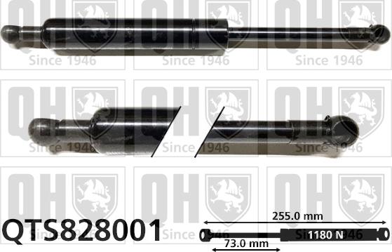 Quinton Hazell QTS828001 - Gāzes atspere, Bagāžas / Kravas nodalījuma vāks www.autospares.lv