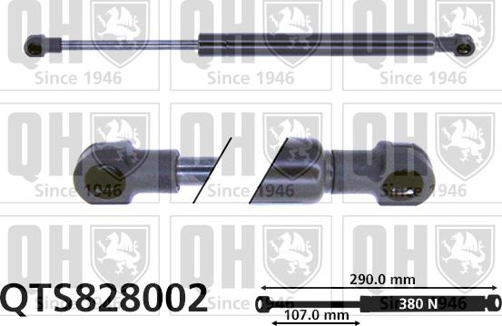 Quinton Hazell QTS828002 - Gāzes atspere, Bagāžas / Kravas nodalījuma vāks www.autospares.lv