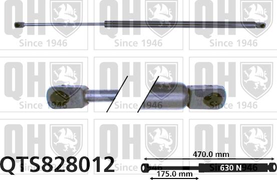 Quinton Hazell QTS828012 - Gāzes atspere, Bagāžas / Kravas nodalījuma vāks www.autospares.lv