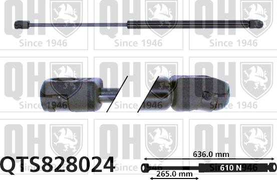 Quinton Hazell QTS828024 - Gāzes atspere, Bagāžas / Kravas nodalījuma vāks www.autospares.lv