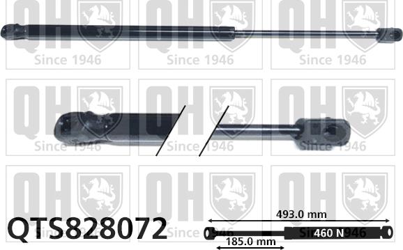 Quinton Hazell QTS828072 - Gāzes atspere, Bagāžas / Kravas nodalījuma vāks www.autospares.lv