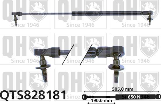 Quinton Hazell QTS828181 - Gāzes atspere, Bagāžas / Kravas nodalījuma vāks www.autospares.lv