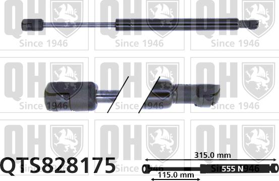 Quinton Hazell QTS828175 - Gāzes atspere, Bagāžas / Kravas nodalījuma vāks www.autospares.lv