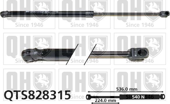 Quinton Hazell QTS828315 - Gāzes atspere, Bagāžas / Kravas nodalījuma vāks www.autospares.lv