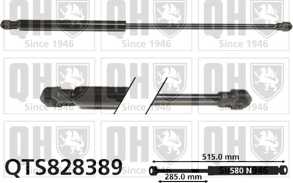 Quinton Hazell QTS828389 - Gāzes atspere, Bagāžas / Kravas nodalījuma vāks www.autospares.lv