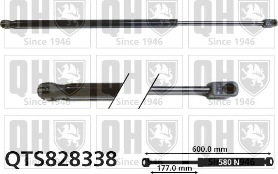 Quinton Hazell QTS828338 - Gāzes atspere, Bagāžas / Kravas nodalījuma vāks www.autospares.lv