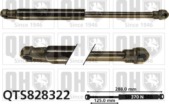 Quinton Hazell QTS828322 - Gāzes atspere, Bagāžas / Kravas nodalījuma vāks www.autospares.lv