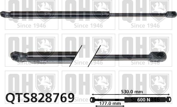 Quinton Hazell QTS828769 - Gāzes atspere, Bagāžas / Kravas nodalījuma vāks www.autospares.lv